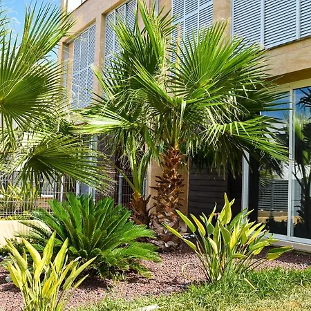 Semi Detached Right Side Holiday home Can Picafort (Mallorca)
